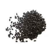 Hans Basil Seeds