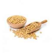 Soya Beans