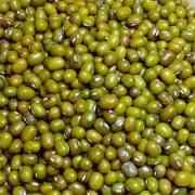 Moong Whole