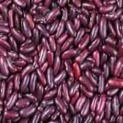 Red Kidney Beans Dark