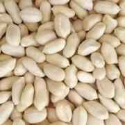 Peanut Blanched