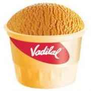 Vadilal Alphonso Mango
