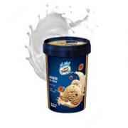 Vadilal Anjeer Ice Cream