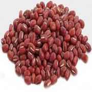 NIRAV RED CHORI