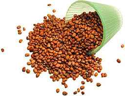 NIRAV RED CHORI