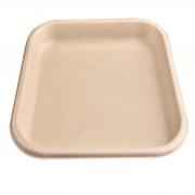 Plastic Dinner Plates 11Comp
