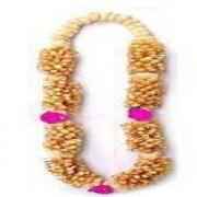 Haar Sandel Wood M
