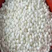 Shree Ganesh Sabudana