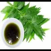 Neem Oil