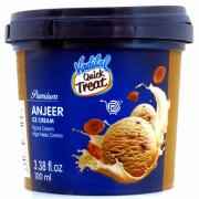 Vadilal Anjeer Ice Cream