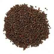 Ramdev Mustard Whole