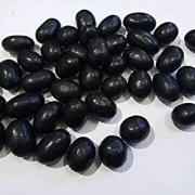 Amrut Kala Jamun Goli