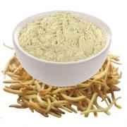 Amrut Safed Musali Powder