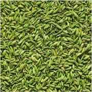 Gazab Green Fennelstrong Mint