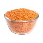 Ramdev Masoor Dal