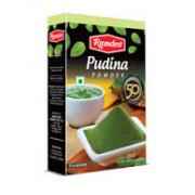 Ramdev Pudina Powder