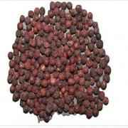 Vaidic Secrets Vavding