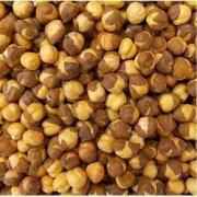Amrut Mahabaleshwar Chana