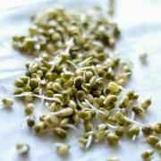 Deep Sprouted Moong