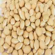 Ramdev Val Dal