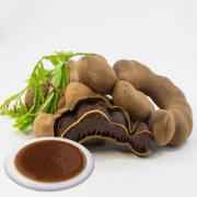 Tamarind Paste