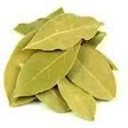 Ramdev Bay Leaves