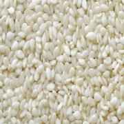 Ramdev Sesame Seeds Hulled