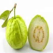 Guava