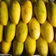 Atalulfo Champagne Manila Mangoes Box