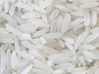 Shastha Krisha Kamod Rice