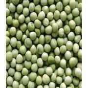 Dried Green Peas Vatana
