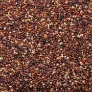Shastha Tri Color Quinoa