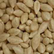 Laxmi Wheat Mamra Kurmura Murmura