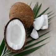 Mature Brown Coconut