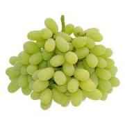 Seedless Green Grapes