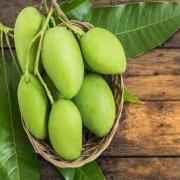 Raw Green Mangoes