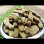 Fresh Green Tamarind