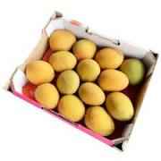 Mangoes Box