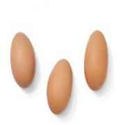 Organic Cage Free Large Brown Eggs