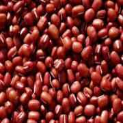 Hathi Brand (HB) Red Chori