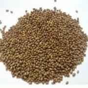 Hathi Brand (HB) Moth Dal Daal