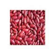 Dwarka Organic Rajma Chitra (Speckled Kidney Beans)