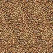 Hathi Brand (HB) Moth Dal Daal