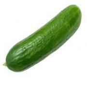 Large Cucumber