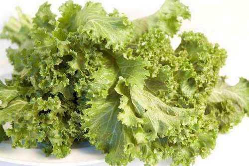 Mustard Leaves/Greens