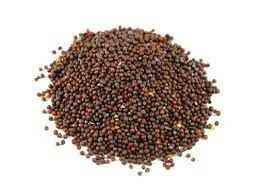 Brown Mustard Seeds