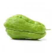 Chayote