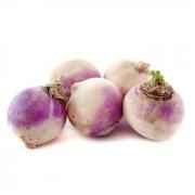 Turnip