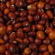 Apna Bazar Toor Whole