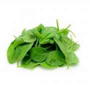 Baby Spinach